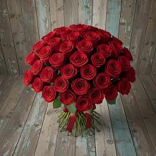 Букет 55 Красных роз Фридом #REPLACE_PRED# Кармалиновской