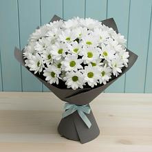 Букет цветов из:  Хризантемы #REPLACE_PRED# Кармалиновской
